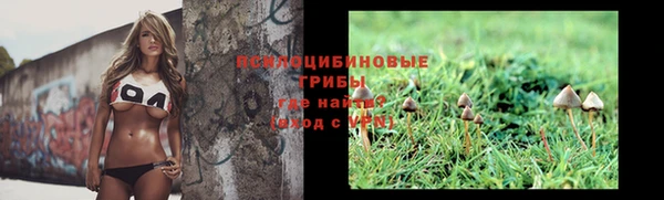 2c-b Алзамай