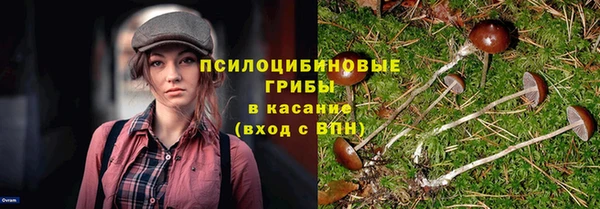 2c-b Алзамай