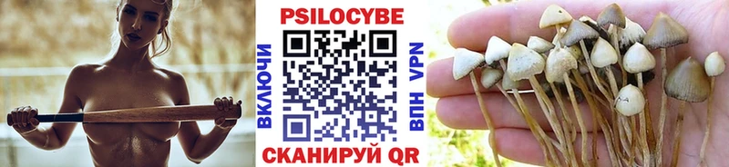 Галлюциногенные грибы MAGIC MUSHROOMS  MEGA ТОР  Дюртюли 